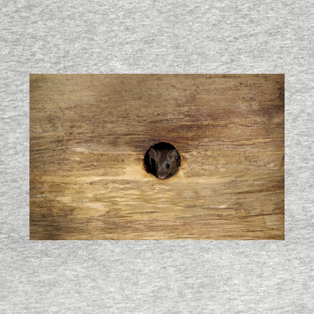 George the mouse in a log pile house - peep hole . by Simon-dell